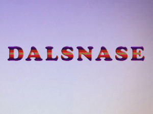 DALSNASE