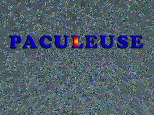 PACULEUSE