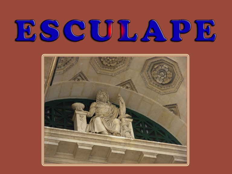 R_ESCULAPE