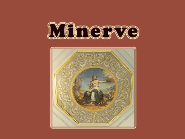 R_Minerve