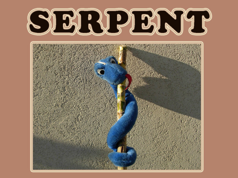 R_Serpent