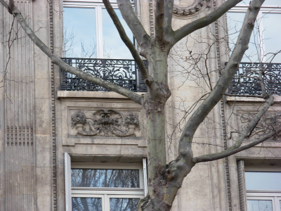 215 bis boulevard Saint-Germain